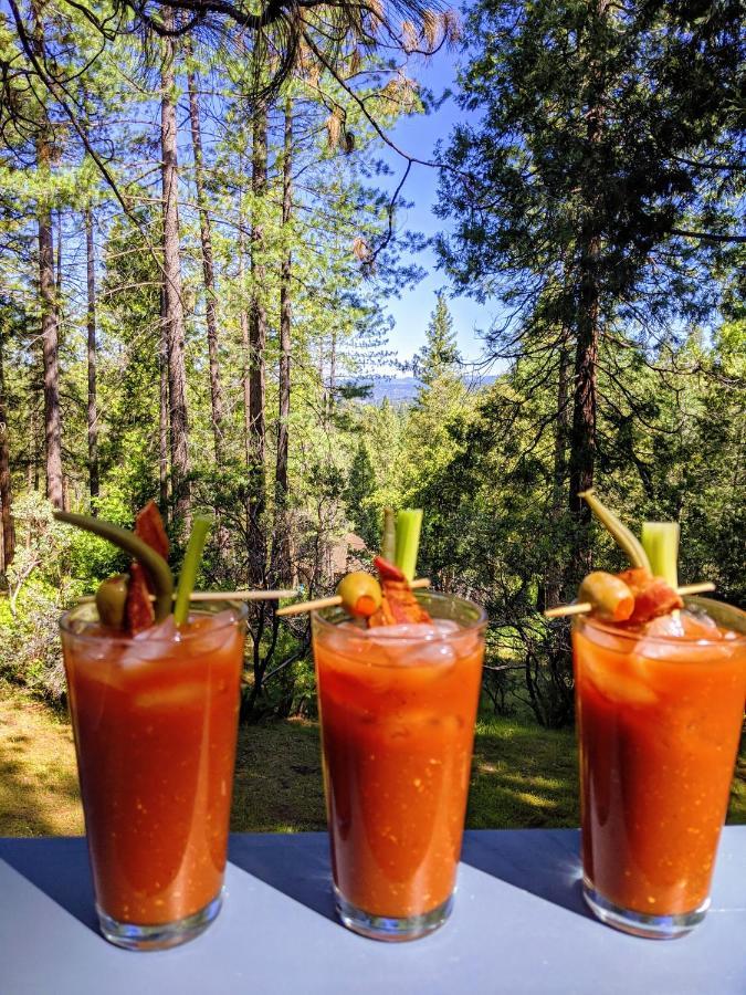 Breckenridge Chalet Near Yosemite. Dog Friendly! グローヴランド エクステリア 写真