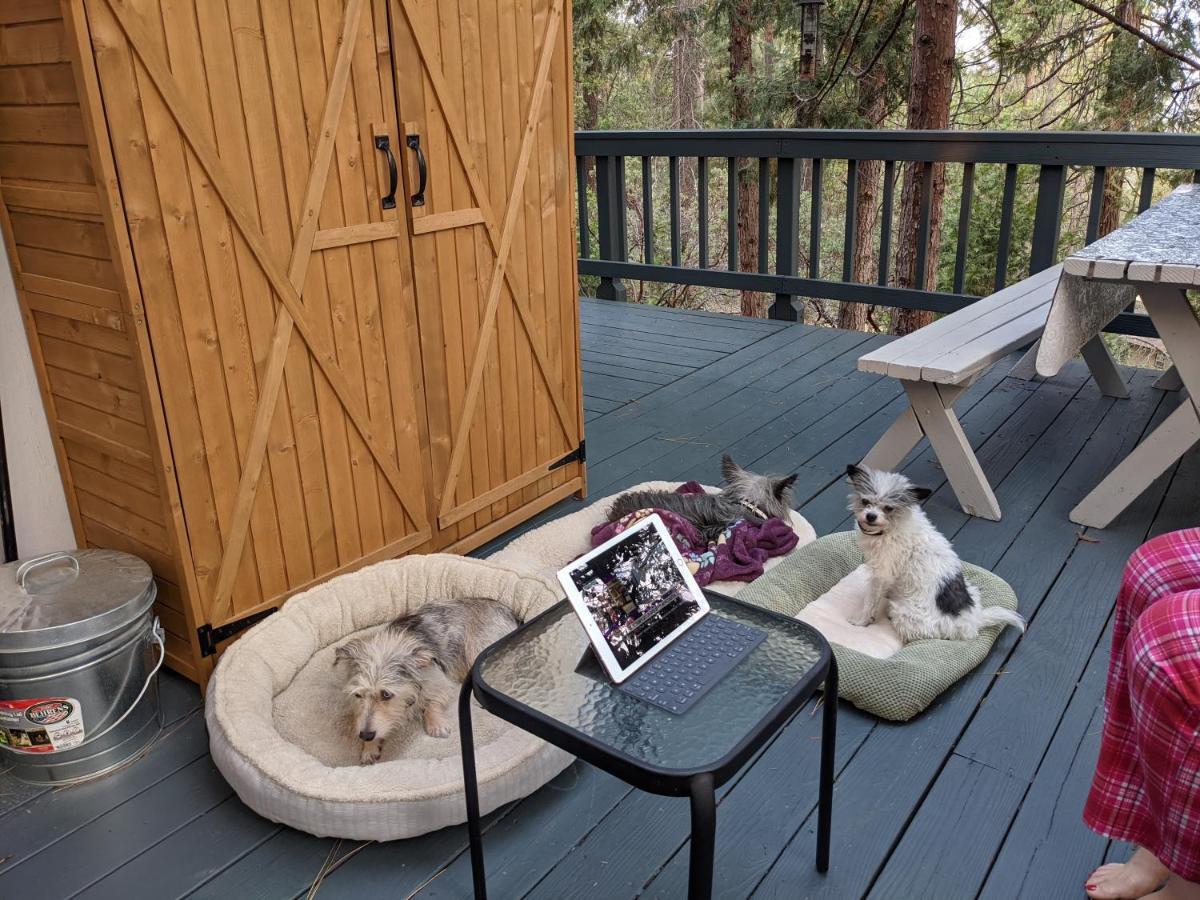 Breckenridge Chalet Near Yosemite. Dog Friendly! グローヴランド エクステリア 写真